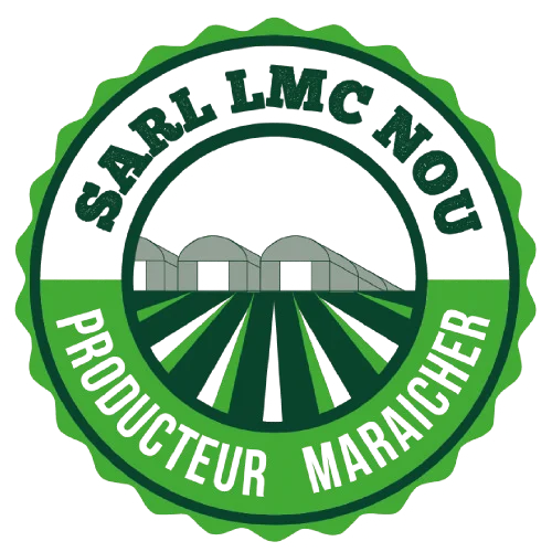 Logo SARL LMC